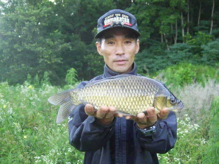 경주권 7월 15일 월척조황입니다 (조황조행기 - 특파원조황)