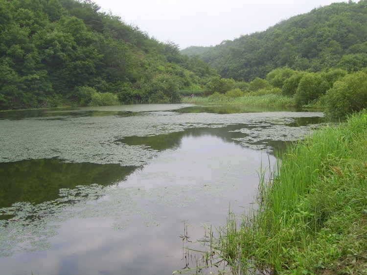 경주권 7월 19일 월척조황입니다 (조황조행기 - 특파원조황)