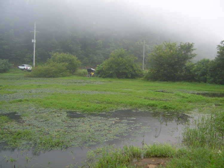 경주권 7월 19일 월척조황입니다 (조황조행기 - 특파원조황)