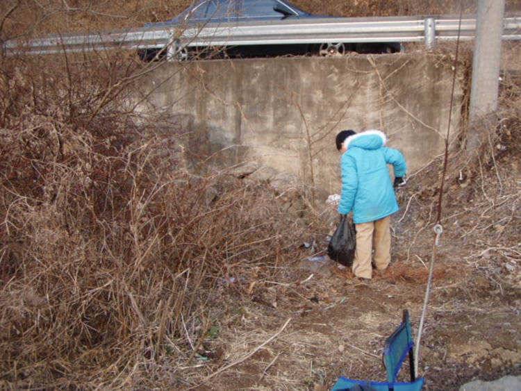 붕어들이 움직이고 있습니다 (조황조행기 - 특파원조황)