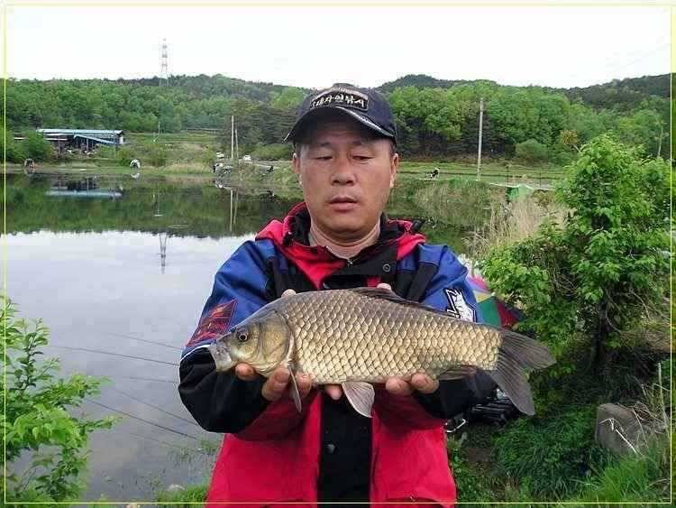 제리지의 월척 대물 퍼레이드 (조황조행기 - 특파원조황)