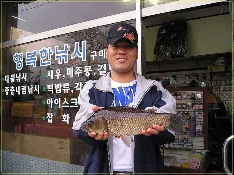제리지의 월척 대물 퍼레이드 (조황조행기 - 특파원조황)