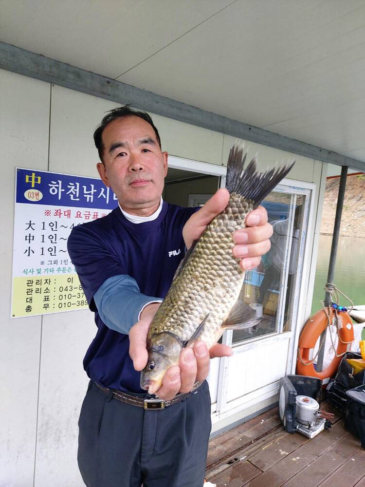 하천낚시터 허리급 붕어조황 소식 (조황조행기 - 특파원조황)