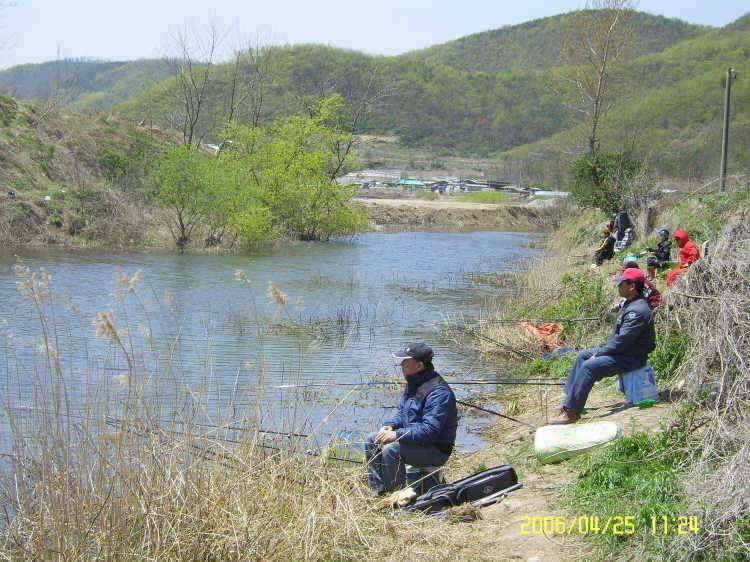 경주권4월25일 조황입니다 (조황조행기 - 특파원조황)