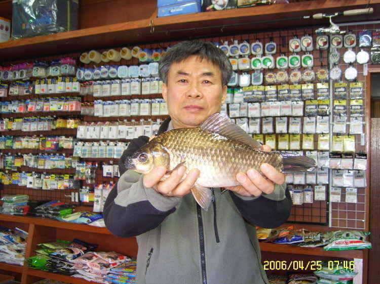 경주권4월25일 조황입니다 (조황조행기 - 특파원조황)