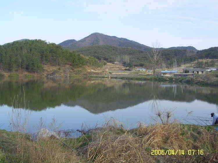 경주권4월14일 조황입니다 (조황조행기 - 특파원조황)