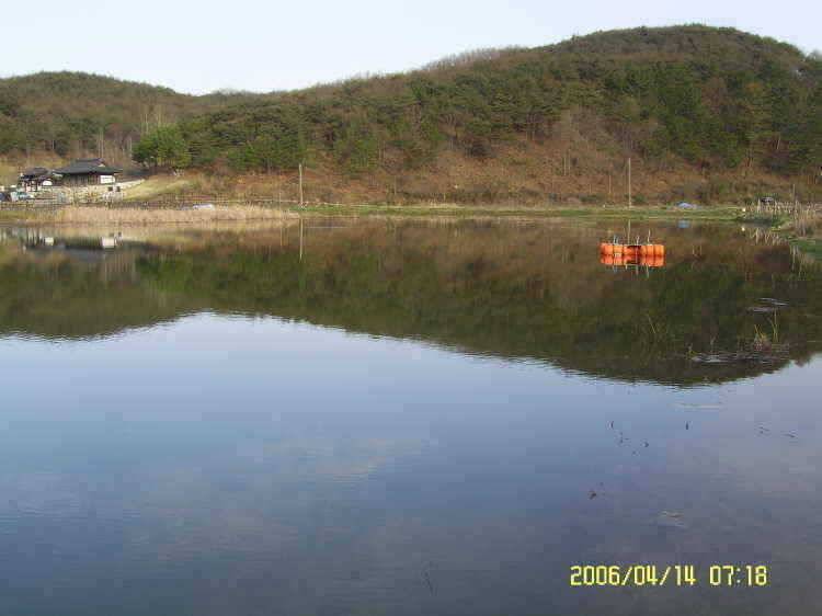 경주권4월14일 조황입니다 (조황조행기 - 특파원조황)