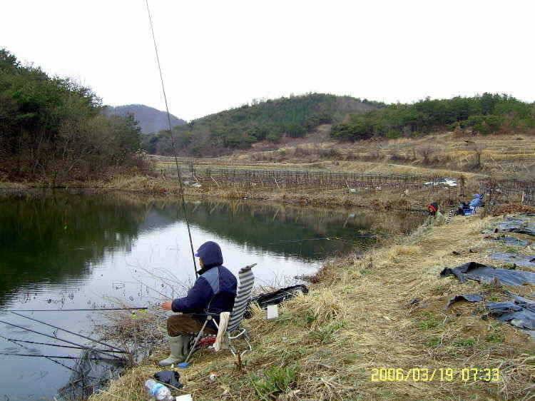 경주권3훨19일조황입니다 (조황조행기 - 특파원조황)