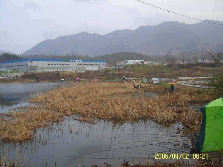 경주권4월2일345cm 조황입니다 (조황조행기 - 특파원조황)