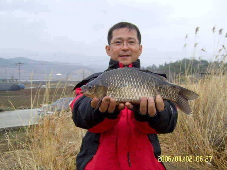 경주권4월2일345cm 조황입니다 (조황조행기 - 특파원조황)