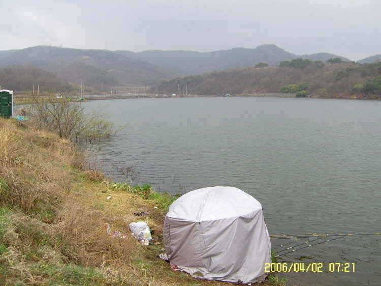 경주권4월2일345cm 조황입니다 (조황조행기 - 특파원조황)