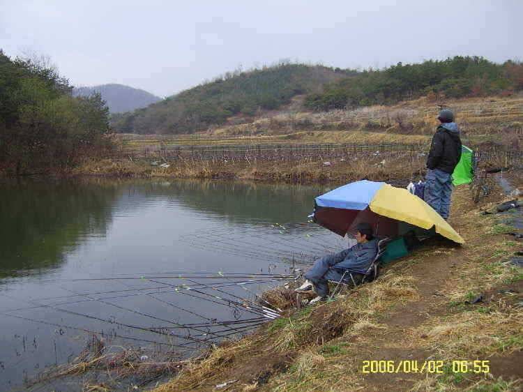 경주권4월2일345cm 조황입니다 (조황조행기 - 특파원조황)
