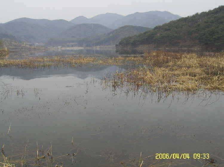 경주권4월4일 조황입니다 (조황조행기 - 특파원조황)