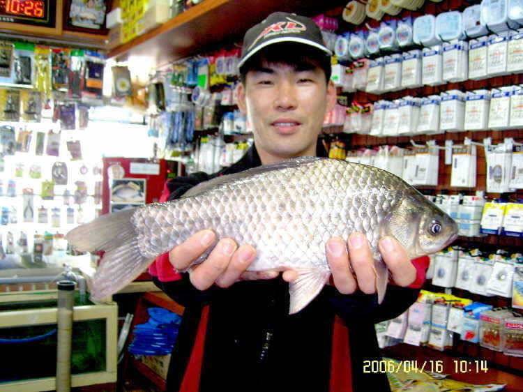 경주권4월16일 월척잔치 조황입니다 (조황조행기 - 특파원조황)