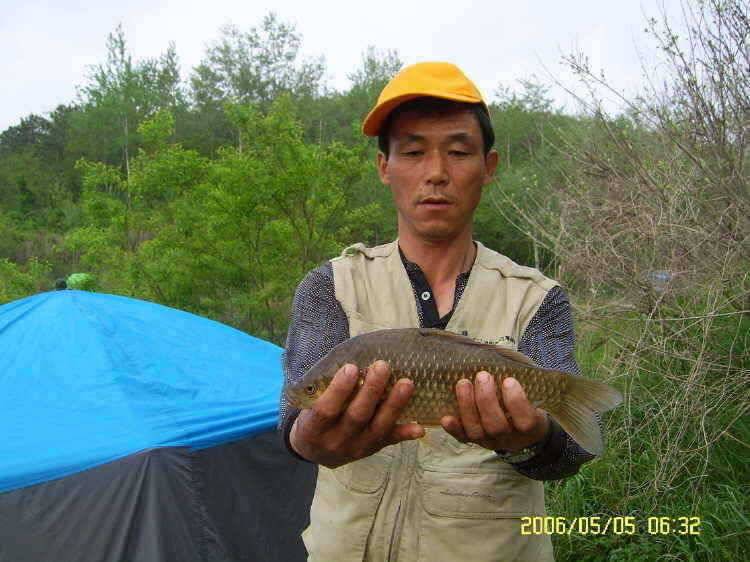 경주권5월5일 40cm 355cm월척 조황입니다 (조황조행기 - 특파원조황)