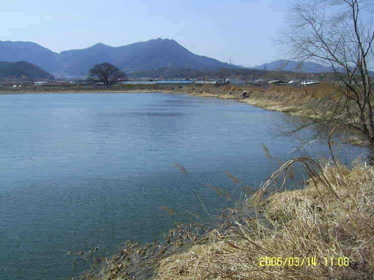 경주권3월14일 조황입니다 (조황조행기 - 특파원조황)