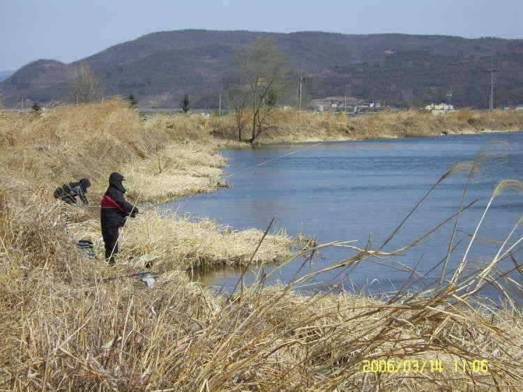 경주권3월14일 조황입니다 (조황조행기 - 특파원조황)
