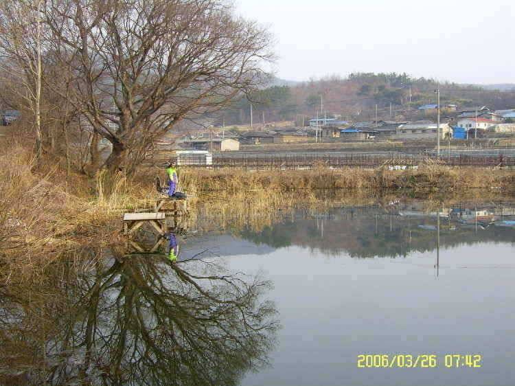 경주권3월26일 조황입니다 (조황조행기 - 특파원조황)