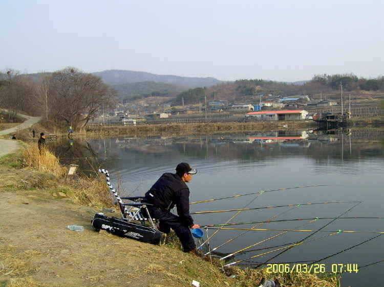 경주권3월26일 조황입니다 (조황조행기 - 특파원조황)