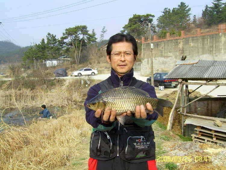 경주권3월26일 조황입니다 (조황조행기 - 특파원조황)