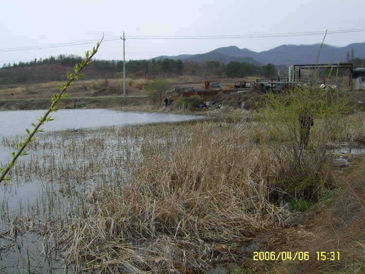경주권4월6일 조황입니다 (조황조행기 - 특파원조황)