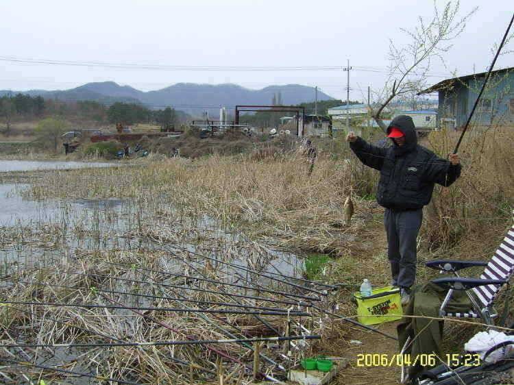 경주권4월6일 조황입니다 (조황조행기 - 특파원조황)