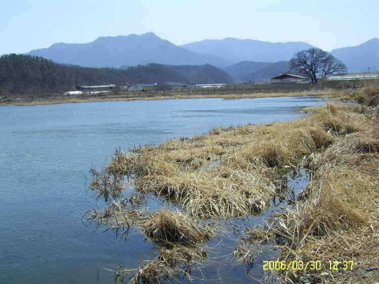 경주권3월30일 조황입니다 (조황조행기 - 특파원조황)
