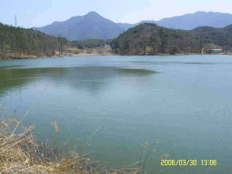 경주권3월30일 조황입니다 (조황조행기 - 특파원조황)