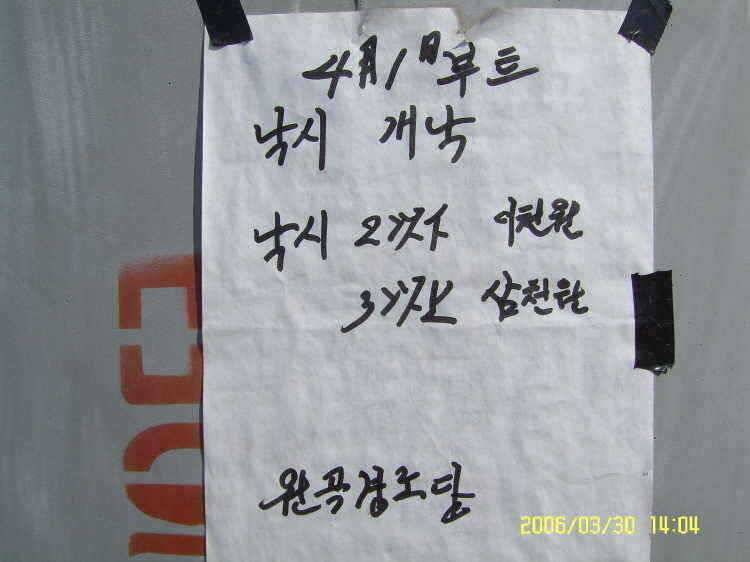 경주권3월30일 조황입니다 (조황조행기 - 특파원조황)