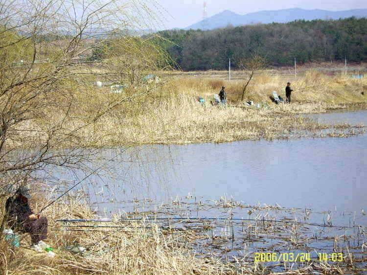 경주권3월24일 조황입니다 (조황조행기 - 특파원조황)