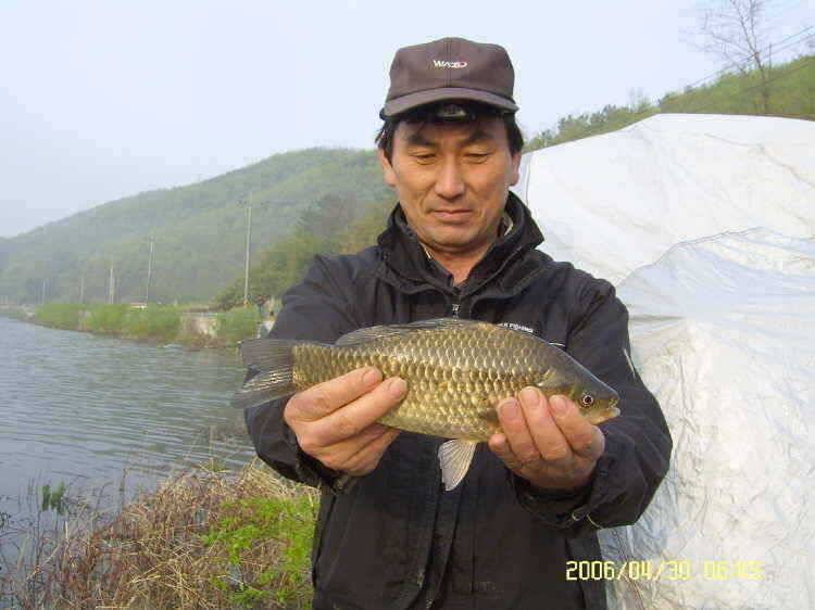 경주권4월30일 조황입니다 (조황조행기 - 특파원조황)
