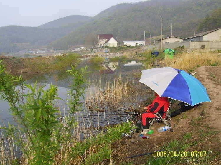 경주권4월28일 조황입니다 (조황조행기 - 특파원조황)