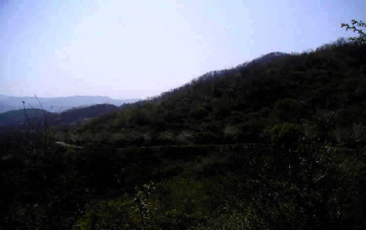 산아래서 바라본 저수지들충남 서산 (조황조행기 - 특파원조황)