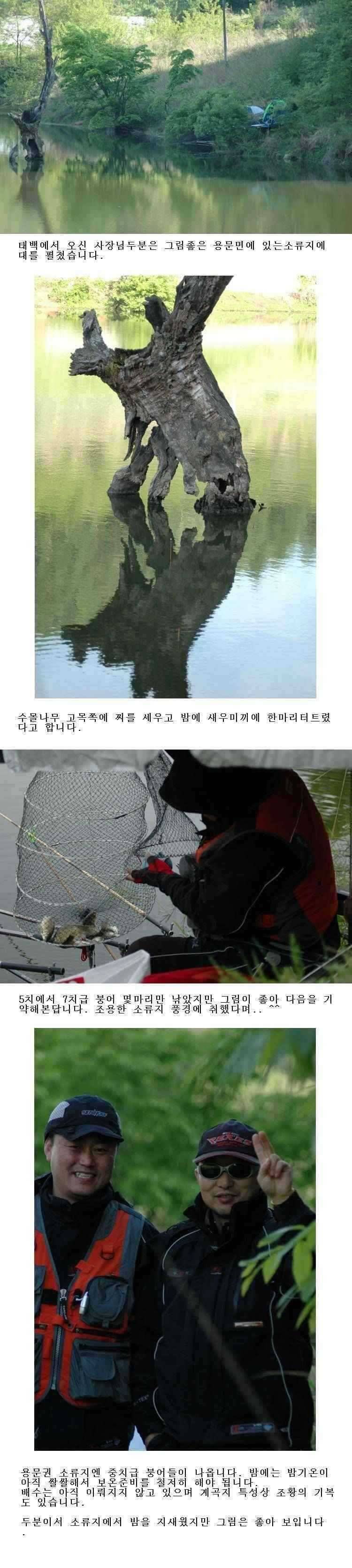 주말조황 하룻밤 20마리 (조황조행기 - 특파원조황)