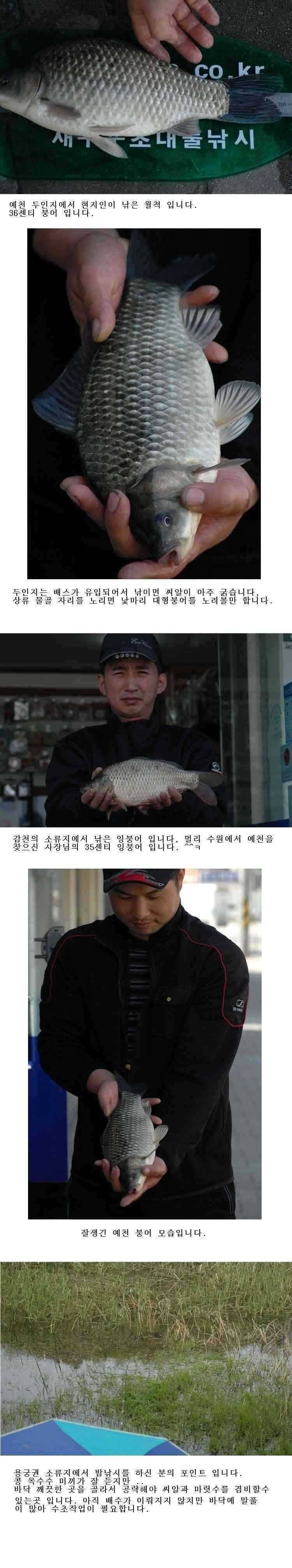 주말조황 하룻밤 20마리 (조황조행기 - 특파원조황)