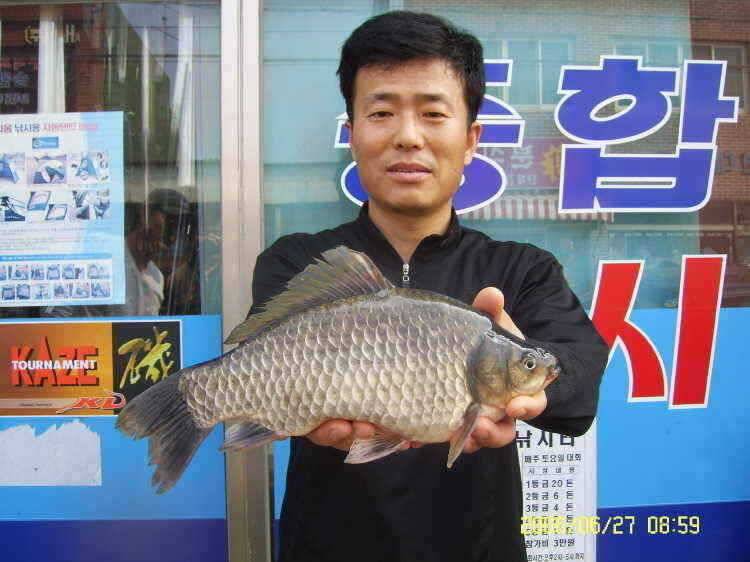경주권6월28일 계속 이어지는 4짜 조황입니다 (조황조행기 - 특파원조황)