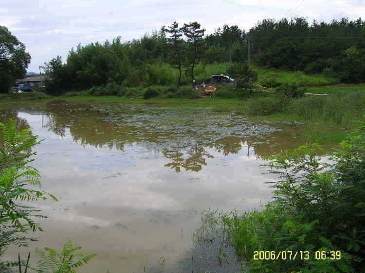 경주권7월13일 조황입니다 (조황조행기 - 특파원조황)