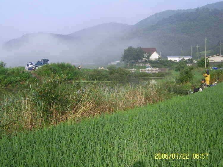 경주권7월 22일 40 36Cmm 조항입니다 (조황조행기 - 특파원조황)
