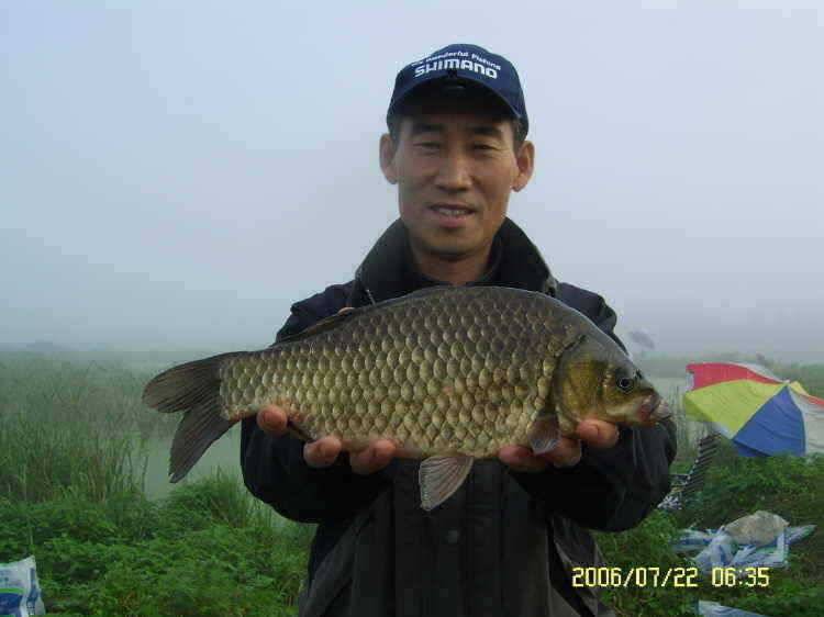 경주권7월 22일 40 36Cmm 조항입니다 (조황조행기 - 특파원조황)