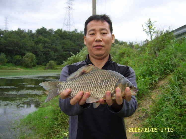경주권9월5일 375cm 34cm 조황입니다 (조황조행기 - 특파원조황)