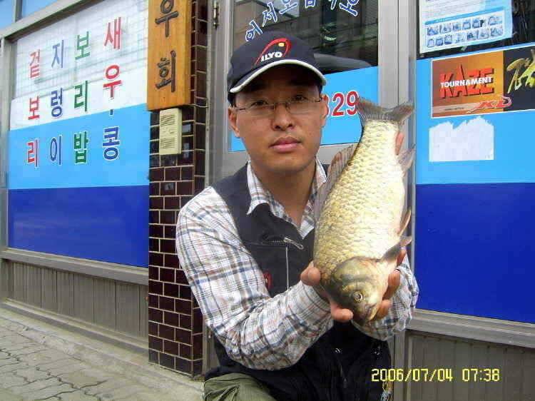 경주권7월4일 415cm 대물붕어 조황입니다 (조황조행기 - 특파원조황)