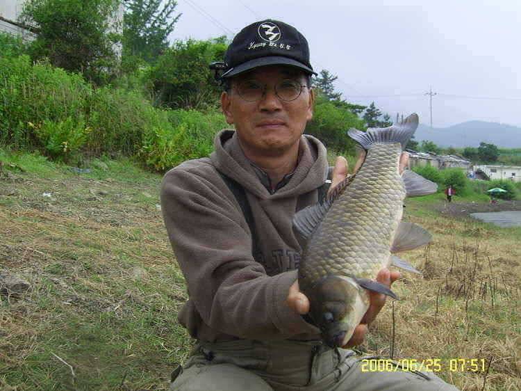경주권6월25일 415cm 41cm 조황입니다 (조황조행기 - 특파원조황)