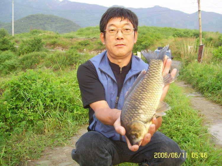 경주권6월11일 42 40 36 35cm 대물붕어 퍼레이드 조황입니다 (조황조행기 - 특파원조황)
