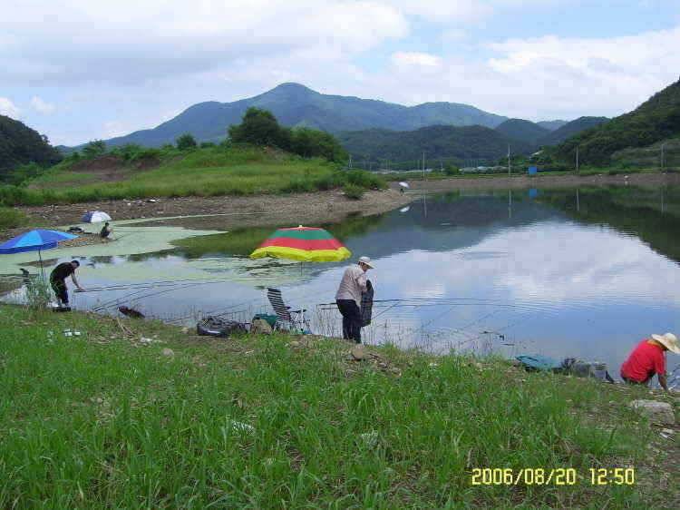 경주권8월20일 조황입니다 (조황조행기 - 특파원조황)