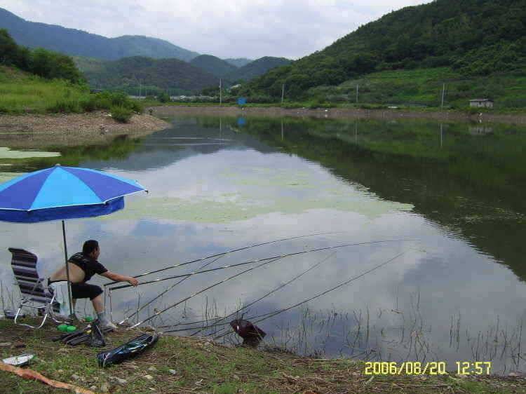 경주권8월20일 조황입니다 (조황조행기 - 특파원조황)