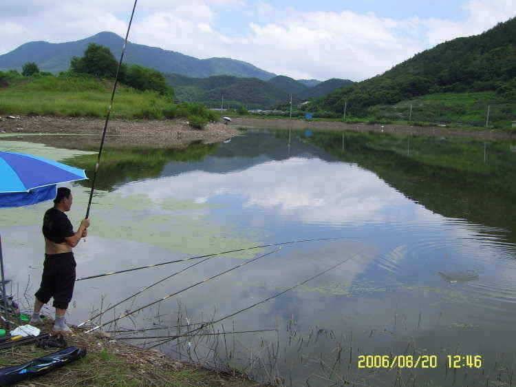 경주권8월20일 조황입니다 (조황조행기 - 특파원조황)
