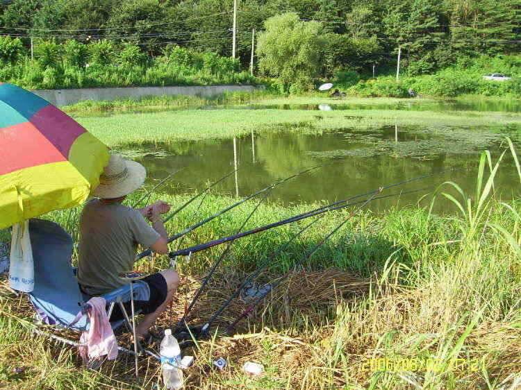 경주권8월2일 조황입니다 (조황조행기 - 특파원조황)