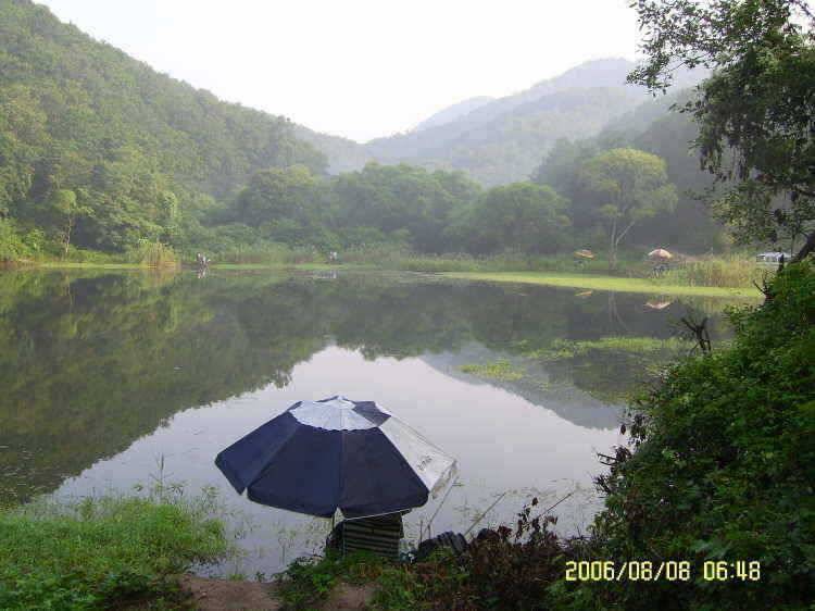 경주권8월8일 40cm대물붕어 조황입니다 (조황조행기 - 특파원조황)