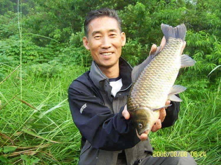 경주권8월8일 40cm대물붕어 조황입니다 (조황조행기 - 특파원조황)