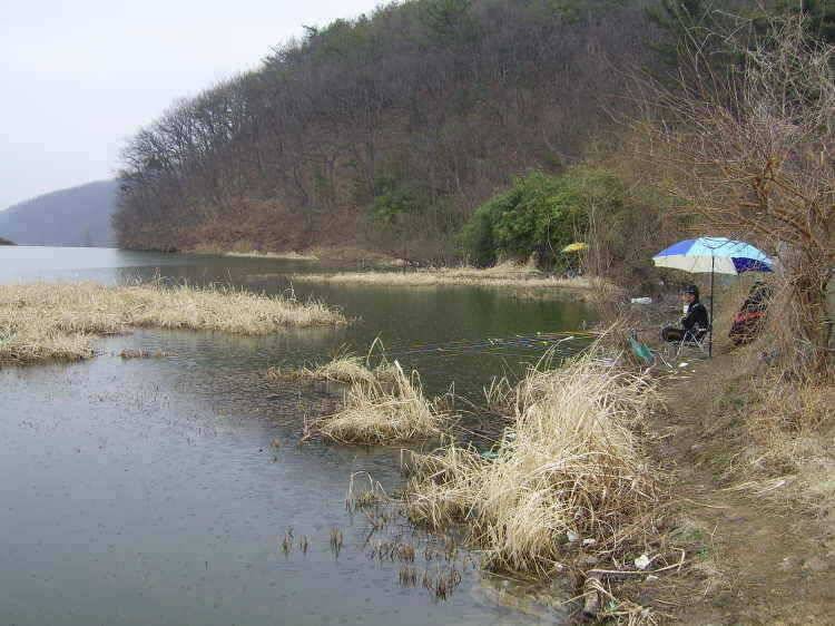 경주권 3월3일 월척조황입니다 (조황조행기 - 특파원조황)